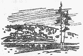 Путешествия в прошлое и будущее (сборник) image015.jpg
