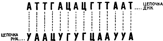 Беседы о жизни i_009.png