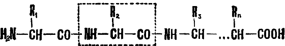 Беседы о жизни i_012.png