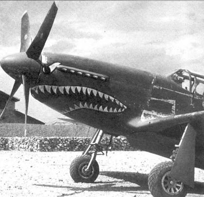 Р-51 «Mustang» Часть 2 pic_50.jpg