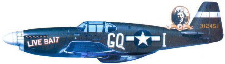 Р-51 «Mustang» Часть 1 pic_155.jpg