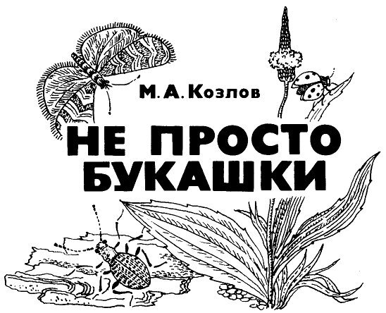 Не просто букашки i_001.jpg