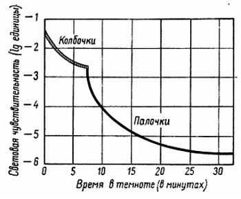 Глаза и мозг. Психология зрительного восприятия _46.jpg