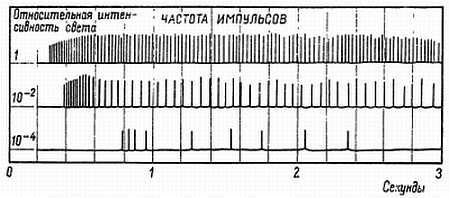 Глаза и мозг. Психология зрительного восприятия _18.jpg_0