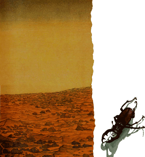 На зов таинственного Марса i_029.png