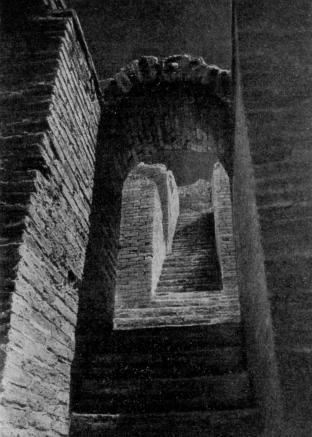 История начинается в Шумере i_005.jpg