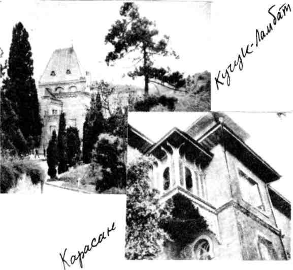 Мальчишник. Дневник Левы Федотова img_19.jpeg
