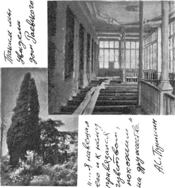 Мальчишник. Дневник Левы Федотова img_56.jpeg