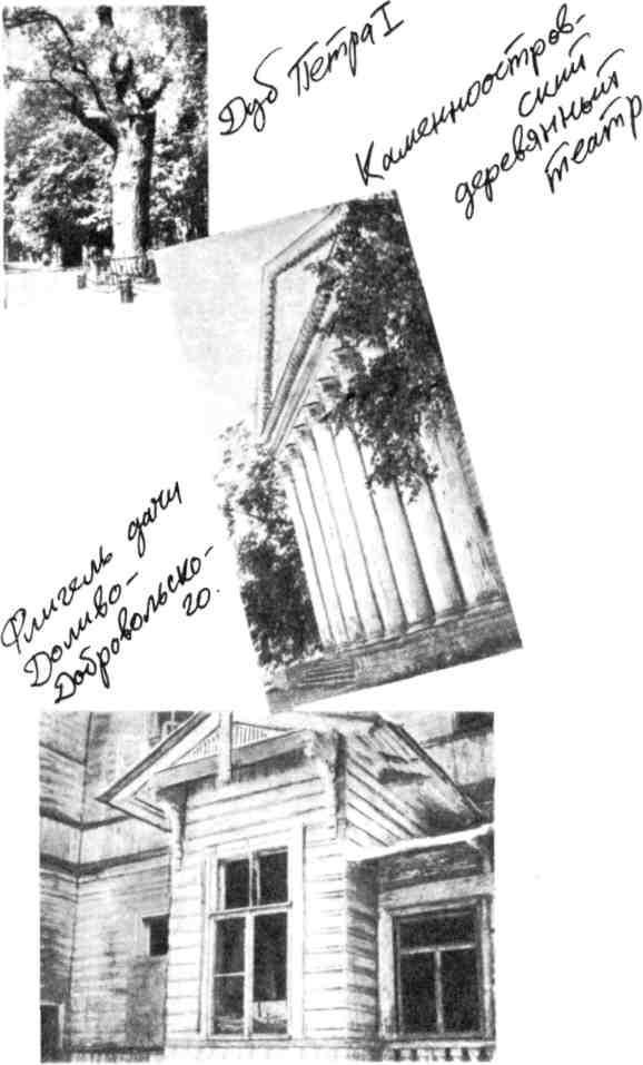 Мальчишник. Дневник Левы Федотова img_59.jpeg