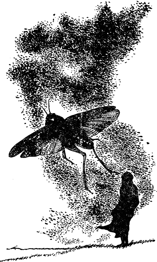 Чувства животных и человека i_009.png
