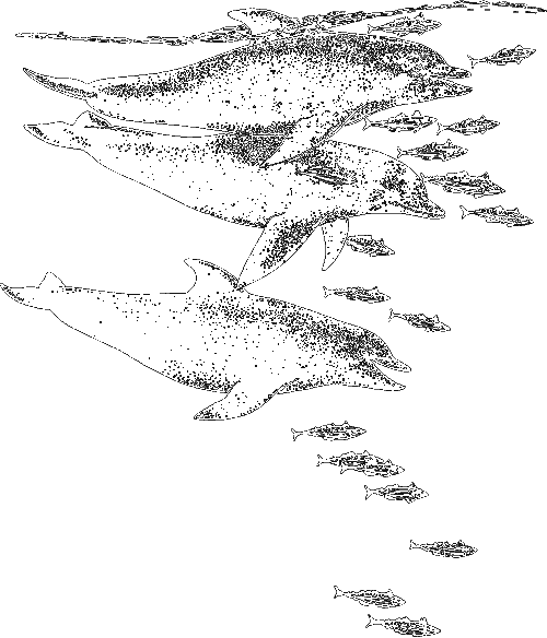 Чувства животных и человека i_011.png