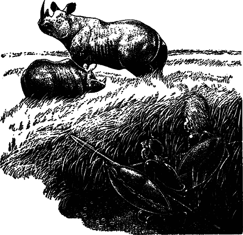 Чувства животных и человека i_015.png