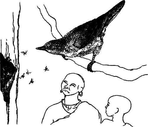 Чувства животных и человека i_018.png