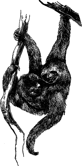 Чувства животных и человека i_022.png