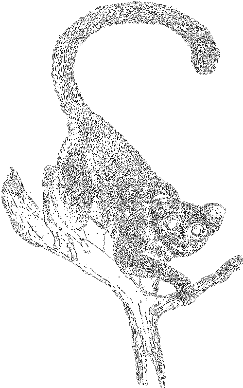 Чувства животных и человека i_028.png