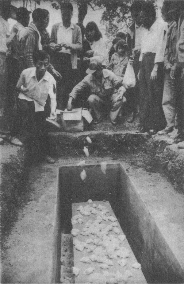 Золотой треугольник bw_10.jpg