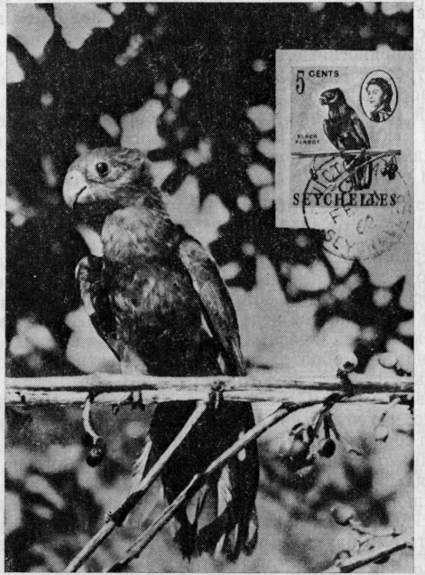 Осколки континента image12.png