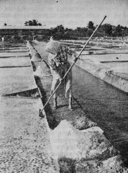 Молитва в цитадели image19.png