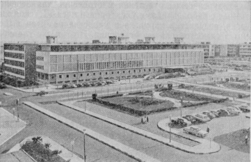 Три года в Кувейте image16.png