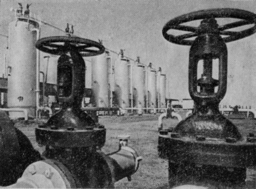 Три года в Кувейте image4.png