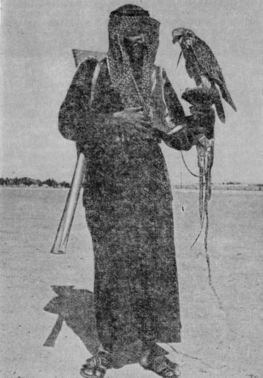 Три года в Кувейте image33.png