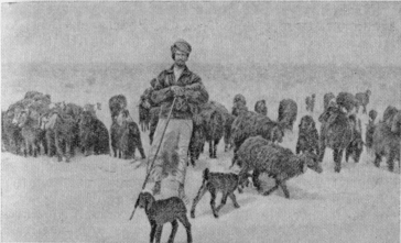 Три года в Кувейте image6.png