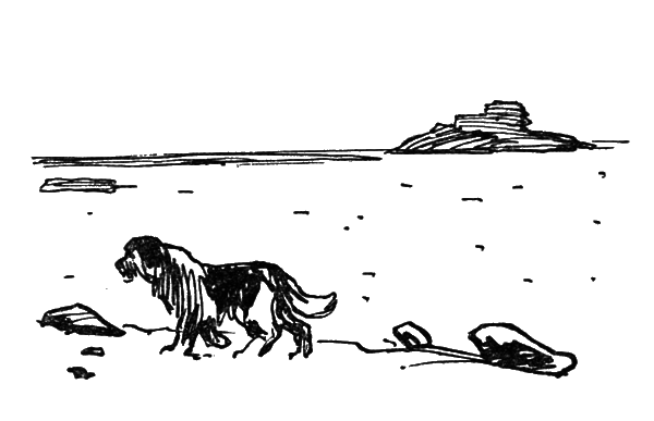 Собрание сочинений. Т. 9.  i_051.png