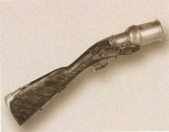 Карл XII, или Пять пуль для короля i_059.jpg