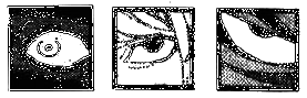 Пражская ночь i_012.png