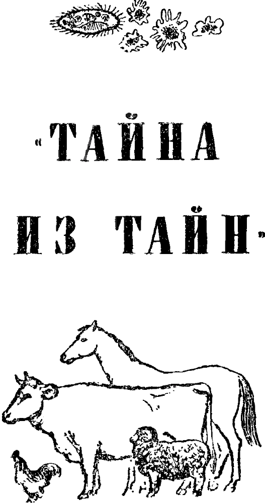 Земля в цвету p0022.png