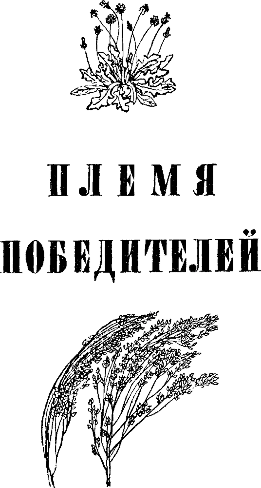 Земля в цвету p0107.png