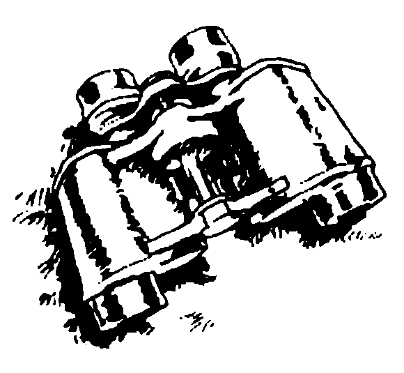 Внук кавалергарда i_010.png