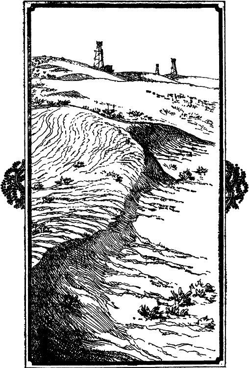 Пустыня как она есть i_002.png