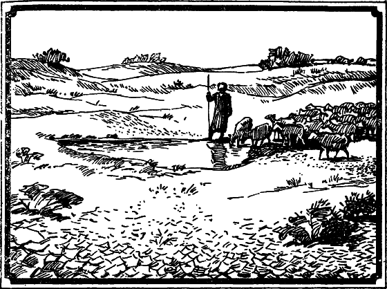 Пустыня как она есть i_015.png