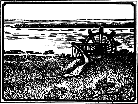 Пустыня как она есть i_022.png