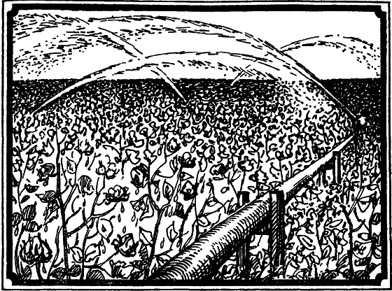 Пустыня как она есть i_027.png