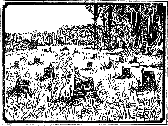 Пустыня как она есть i_005.png