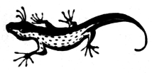 Ямы i_003.png