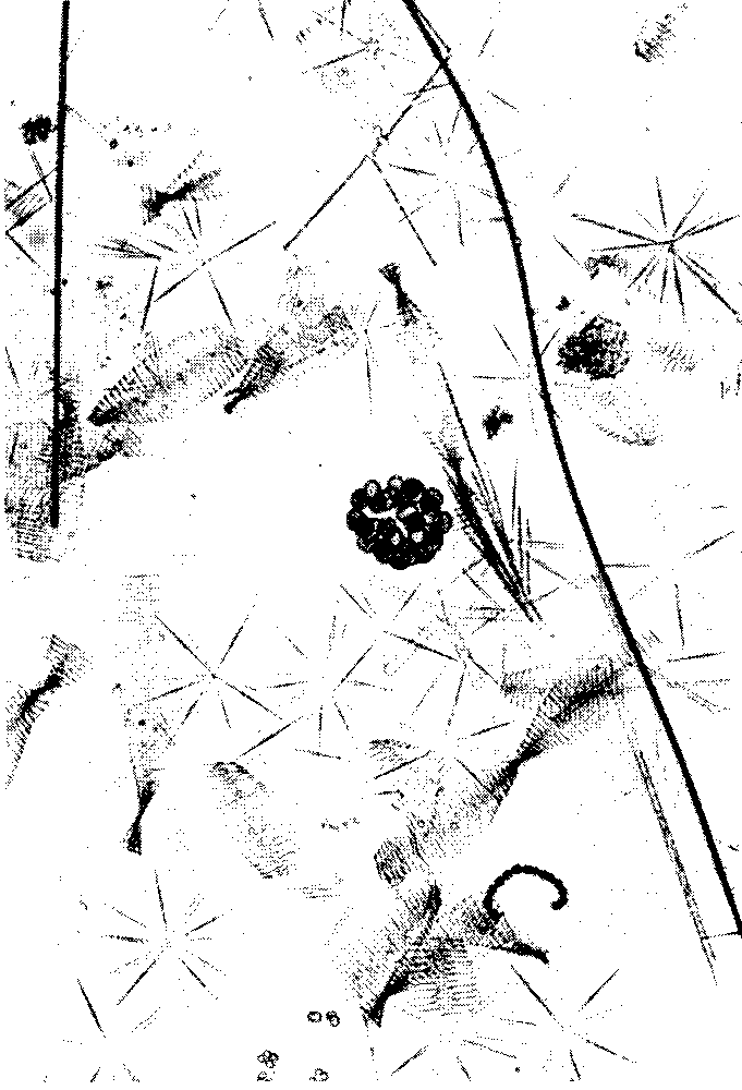 img_75.png