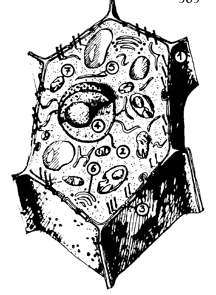img_77.png
