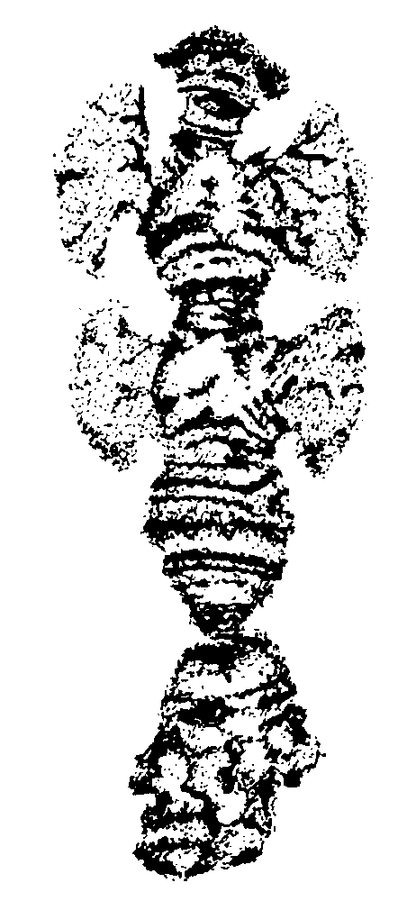 img_79.png