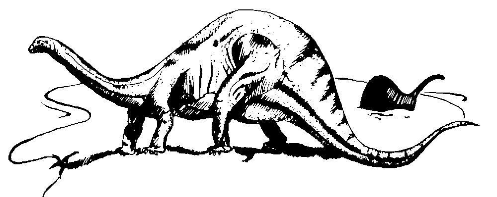 img_81.png