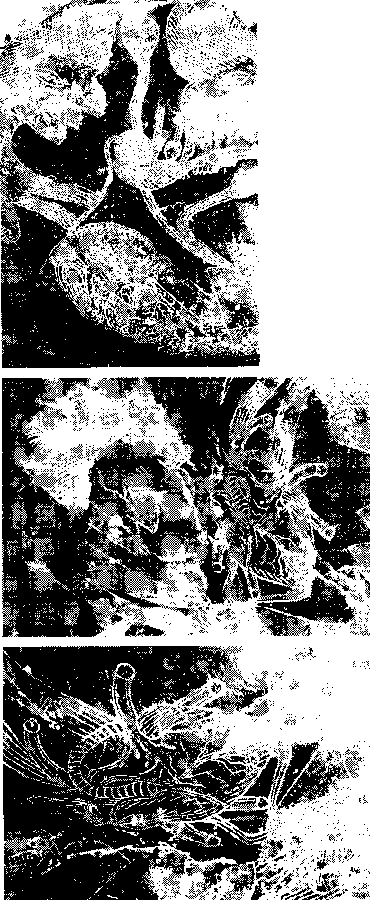 img_119.png