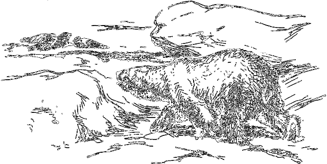 Занимательная зоология i_044.png