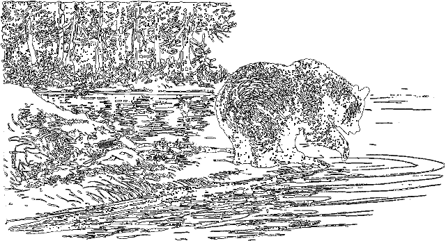 Занимательная зоология i_045.png