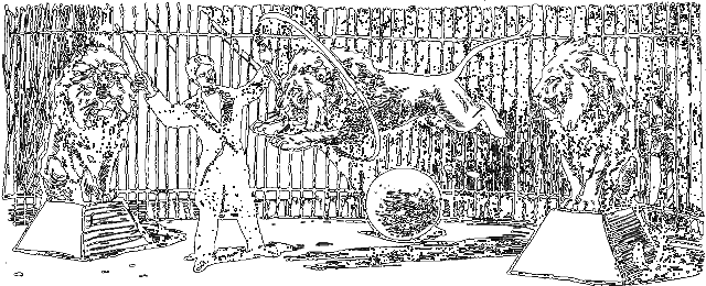 Занимательная зоология i_047.png