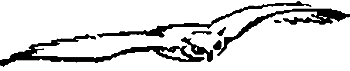 Занимательная зоология i_059.png