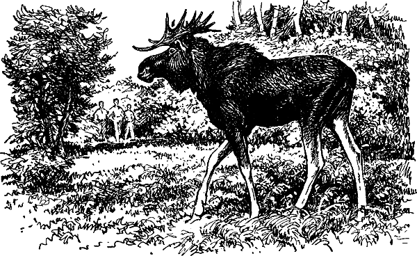 Занимательная зоология i_063.png