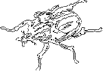 Занимательная зоология i_002.png