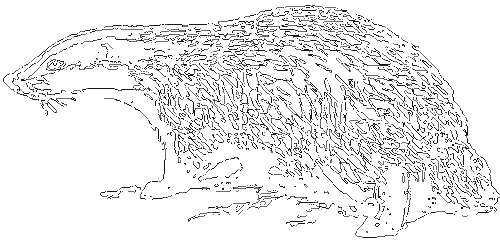 Занимательная зоология i_065.png